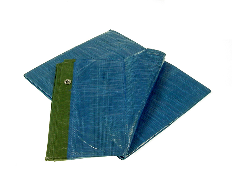 TELONE OCCHIELLATO 4x6 m. HOBBY 80 GR PER MQ