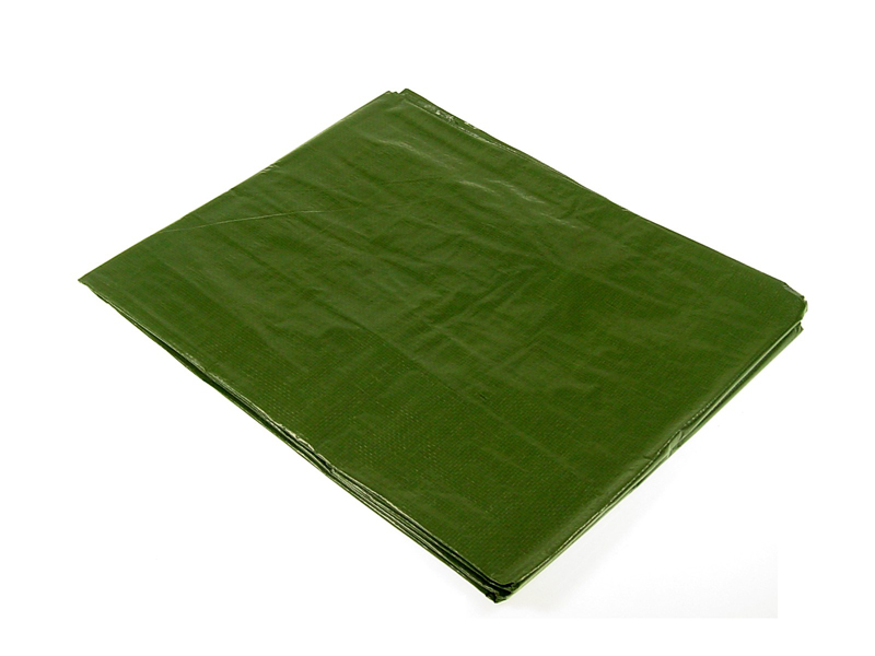 TELONE OCCHIELLATO EXTRA 8x10 m. ANTISTRAPPO 200 GR PER MQ