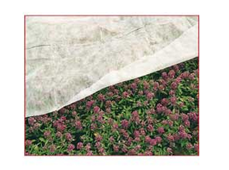 TESSUTO TNT 1,60 x 5 ml.