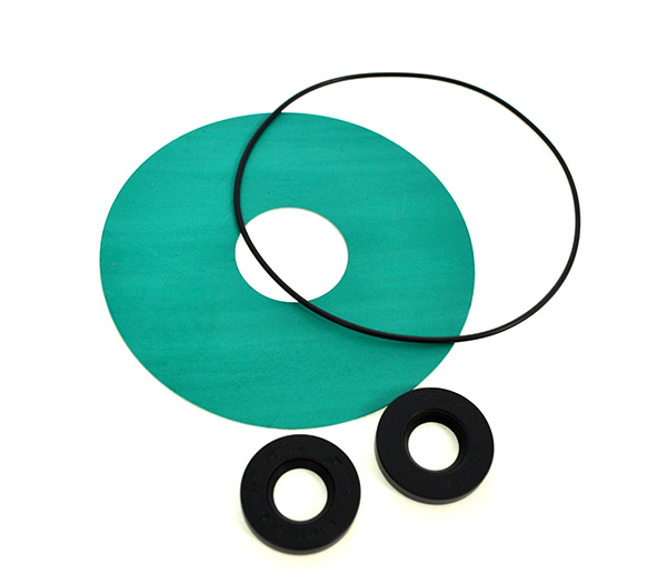 SERIE GUARNIZIONI 20 PER 6000520 E 6000527