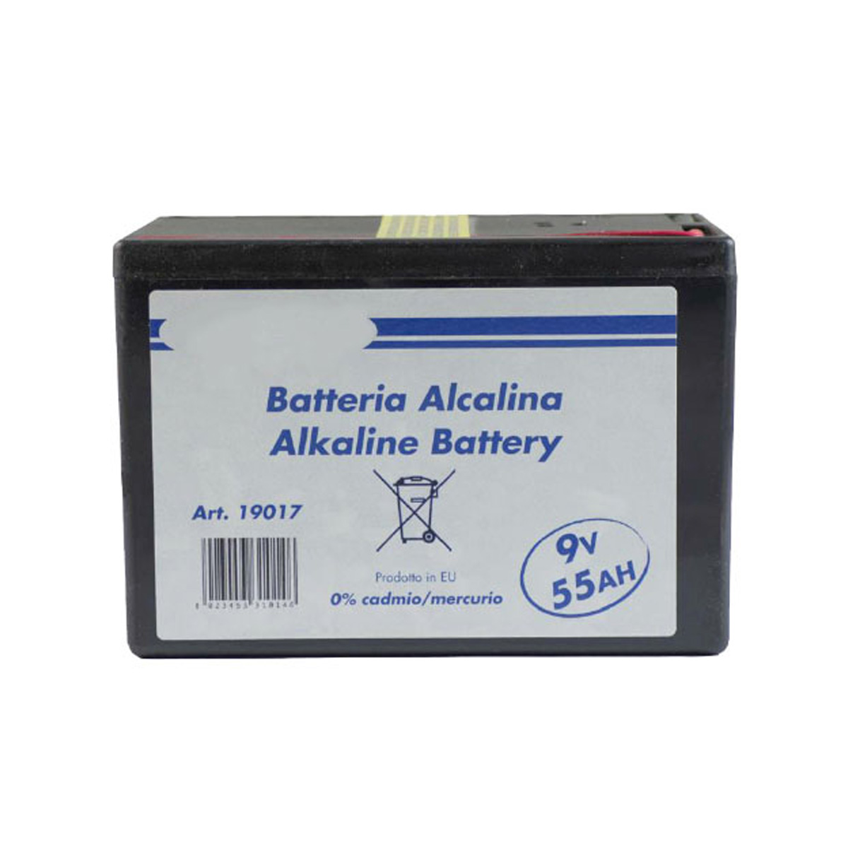 BATTERIA 9 VOLT 55Ah PER RECINTI