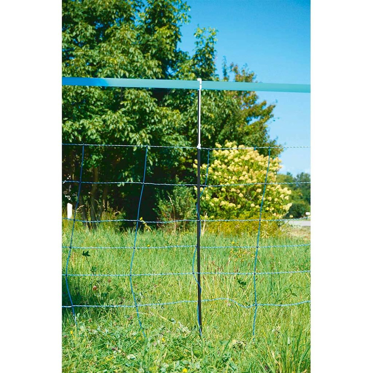 NASTRO SEGNALETICO BLU DA 25 MM - immagine 2