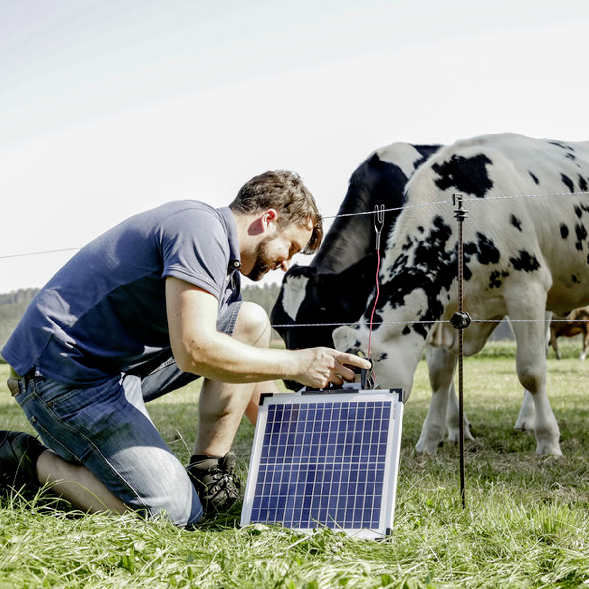 AKO SUN POWER S 1500 APPARECCHIO PER RECINZIONI ELETTRIFICATE - immagine 3