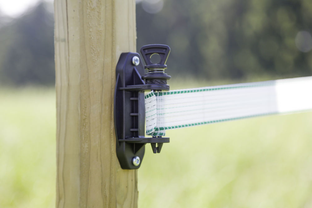 SET 10 TENDITORI PER NASTRO/FUNE PER BANDA FINO A 40 MM LARGHEZZA - immagine 2