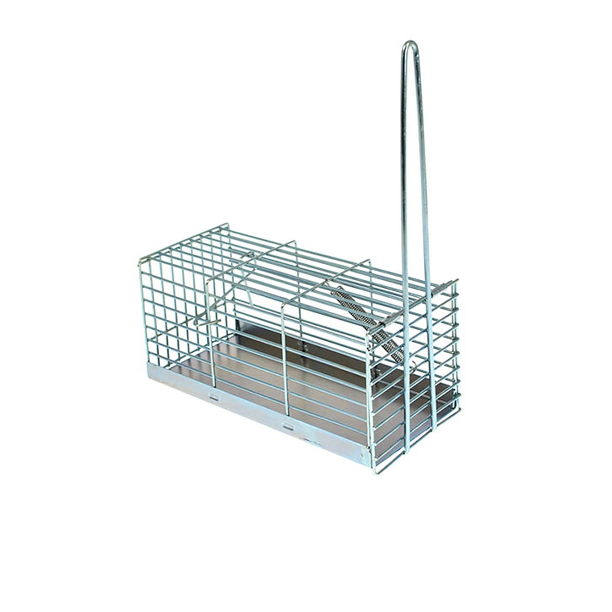 TRAPPOLA TOPI MEDIA 300 mm.