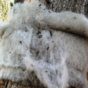 RINCOTRAP CONFEZIONE SINGOLA SOTTOVUOTO 15 cm x 2 cm x 20 mt - immagine 4