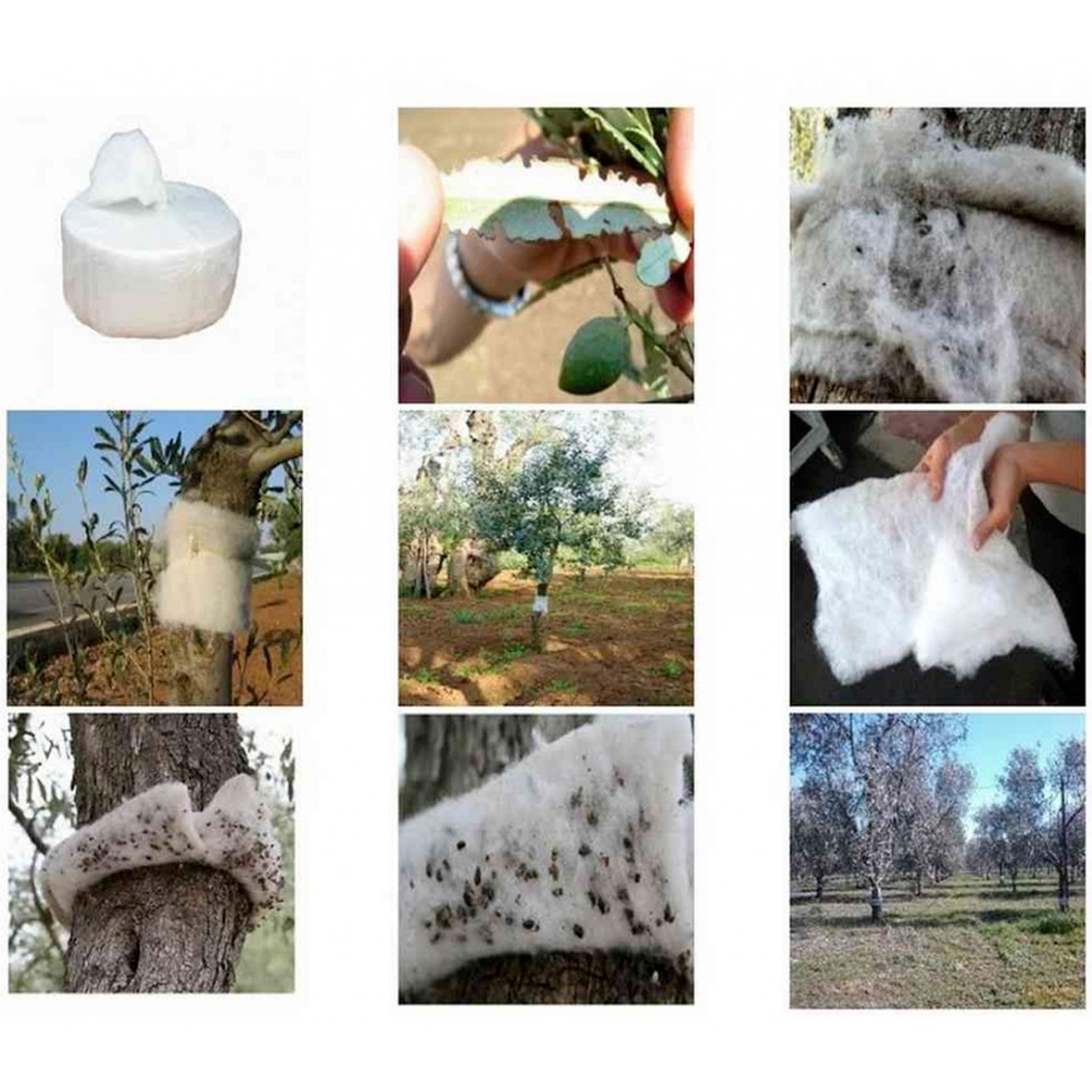 RINCOTRAP CONFEZIONE SINGOLA SOTTOVUOTO 15 cm x 2 cm x 20 mt - immagine 7