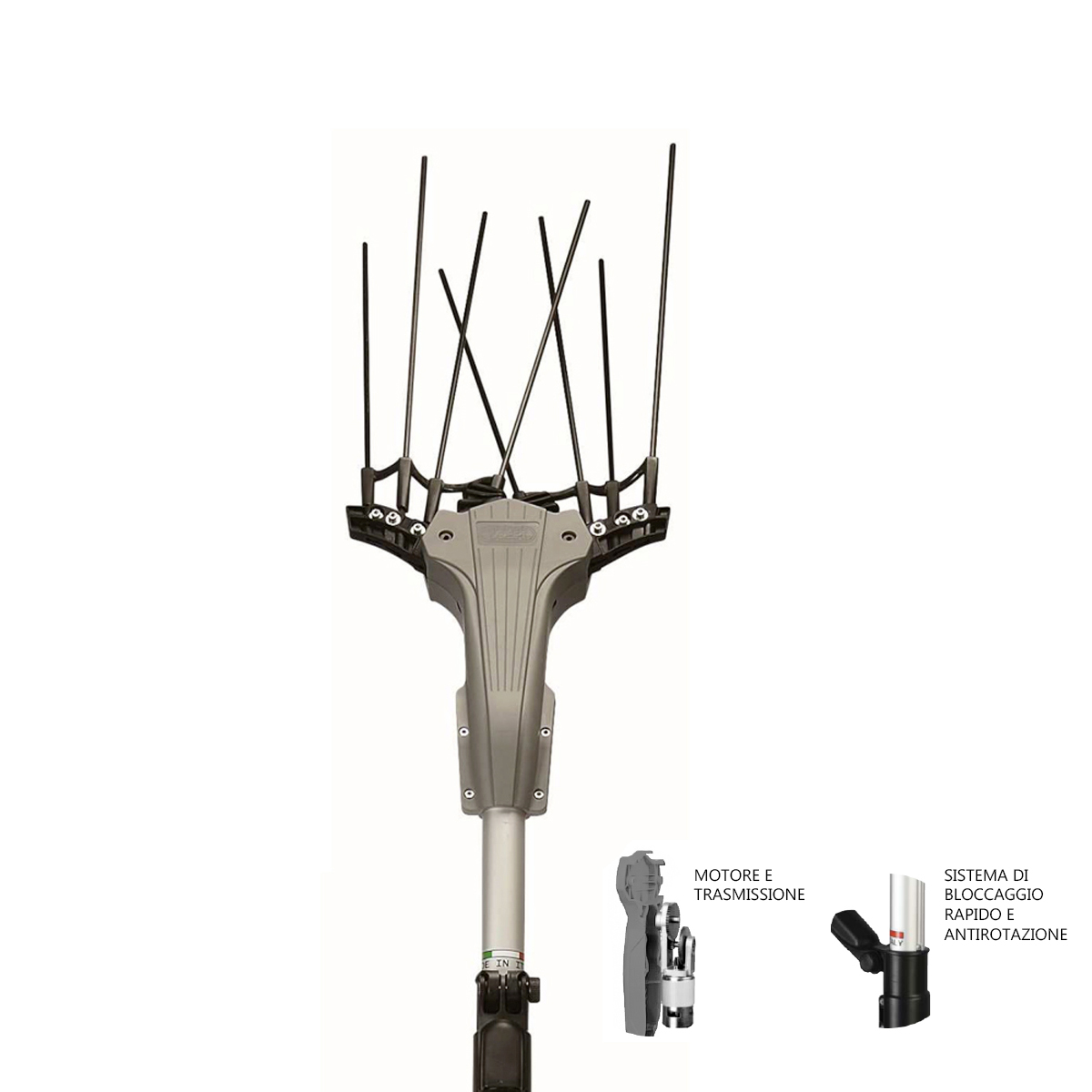 SCUOTITORE OLYTECH MONDIAL 8 ASTINE MOTORE BRUSHLESS 12V-ASTA 210-300CM - immagine 3