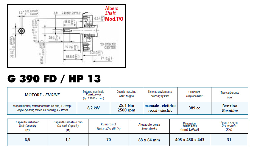 MOTORE BENZINA HP 13 IMPORT AVVIAMENTO ELETTRICO 188FE - immagine 2