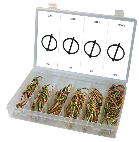 ASSORTIMENTO 50 SPINE A SCATTO METRICHE M5-6-8-9-10-11