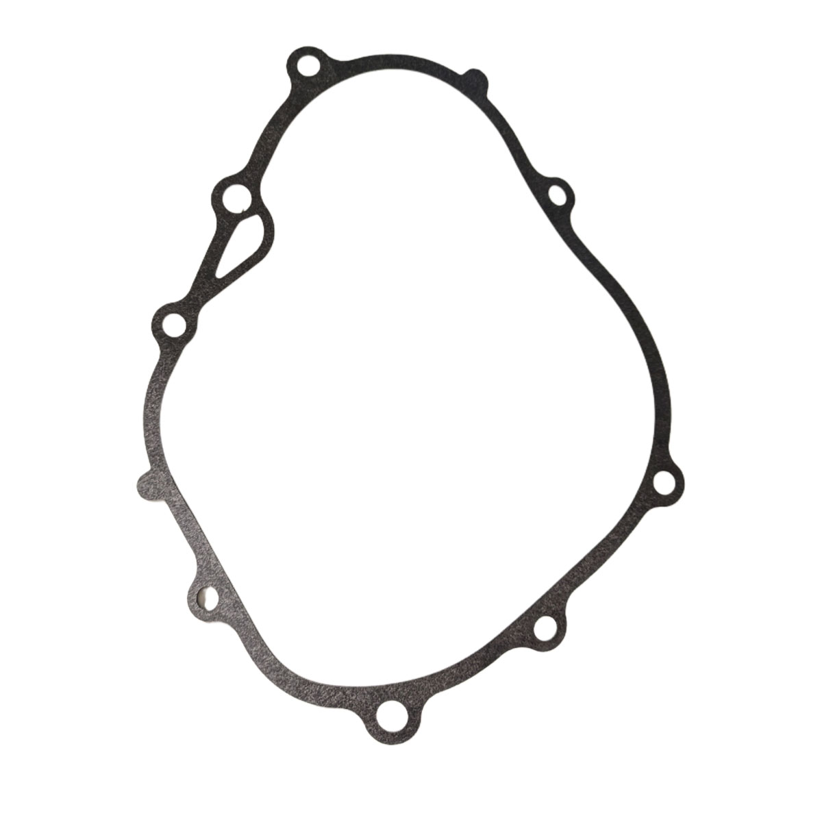 GUARNIZIONE COPPA OLIO PER MOTOZAPPA BURG Z-99 ESPLOSO MOTORE N. 6