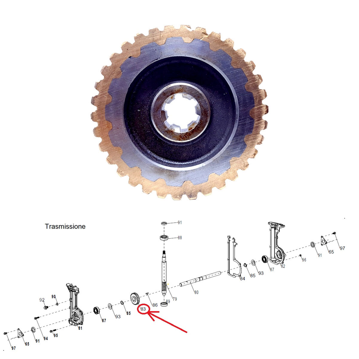 INGRANAGGIO PER TRASMISSIONE MOTOZAPPA BURG B-173 - ESPLOSO N. 83