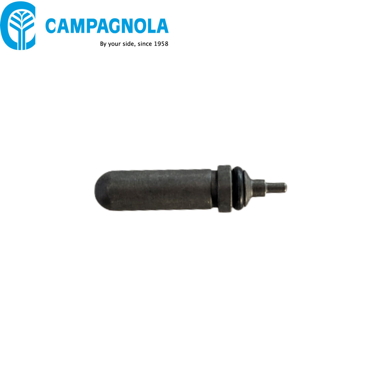 ALBERINO VALVOLA + O-RING FORBICE PNEUMATICA CAMPAGNOLA