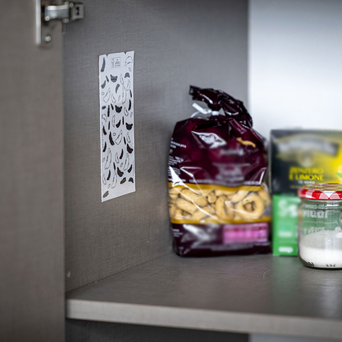 TRAPPOLA PER TARME DEGLI ALIMENTI (2 PZ) - immagine 4