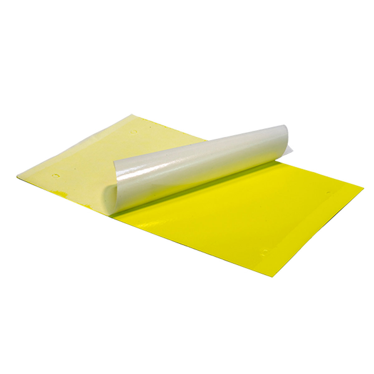 TRAPPOLA CROMOTROPICA ADESIVA PER MOSCA, MOSCERINO E CICALINE (10 PZ) - immagine 2