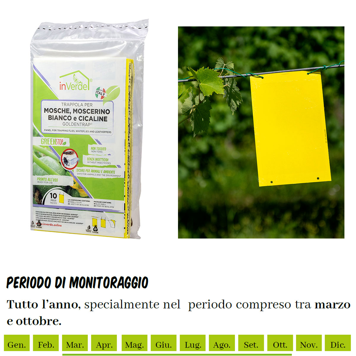 TRAPPOLA CROMOTROPICA ADESIVA PER MOSCA, MOSCERINO E CICALINE (10 PZ) - immagine 4