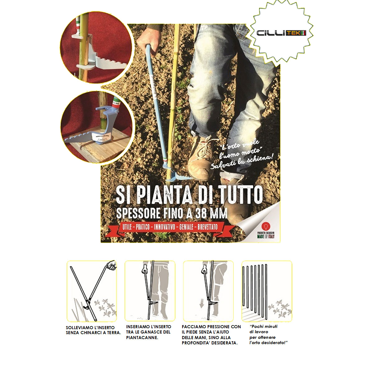 PIANTACANNE SALVASCHIENA - immagine 4