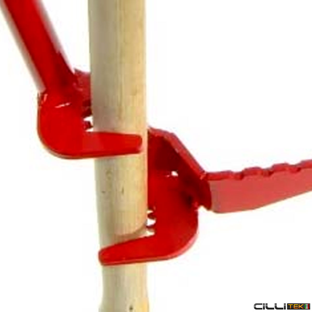 PIANTACANNE SALVASCHIENA - immagine 7