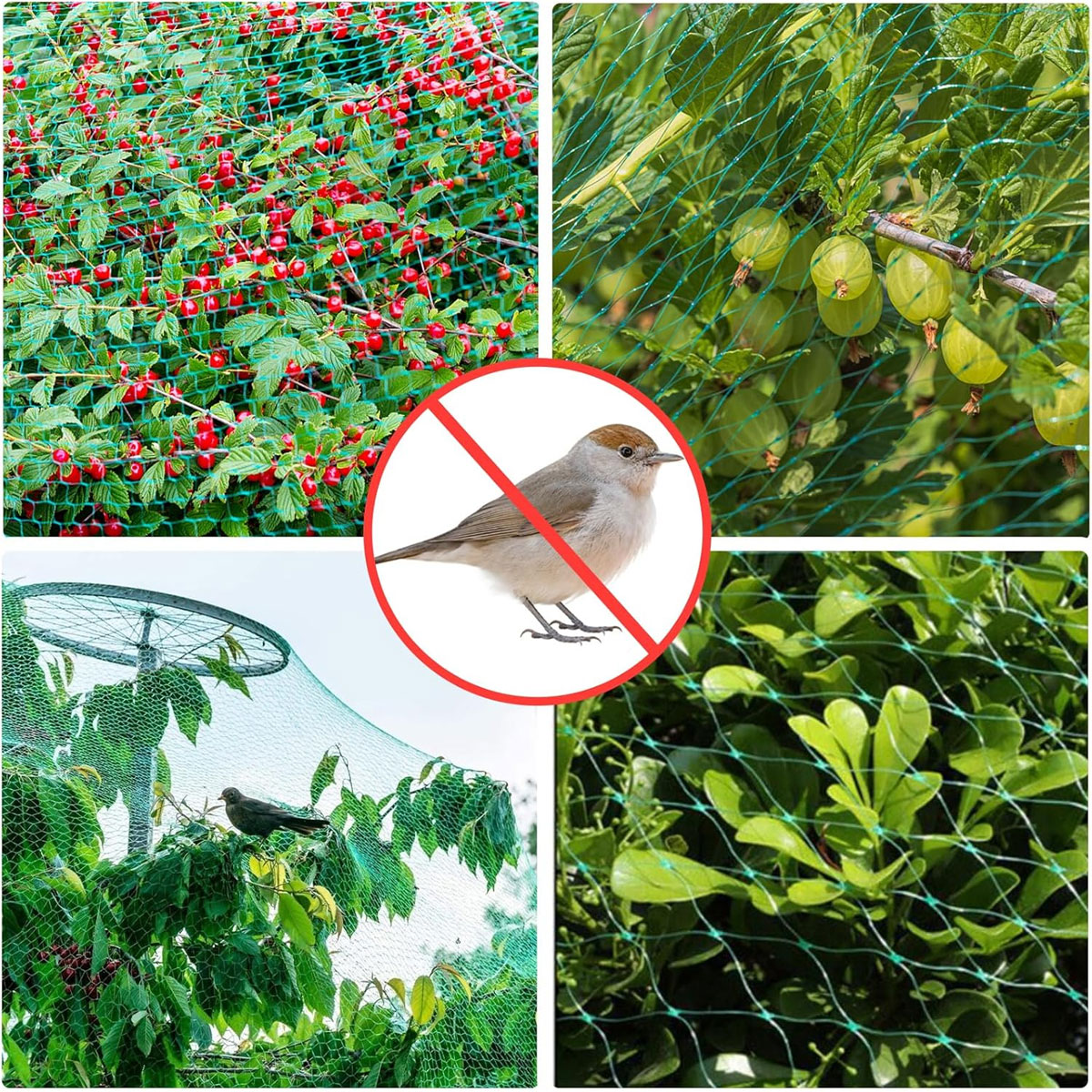 RETE ANTI UCCELLI 4 x 10 ml. - immagine 4