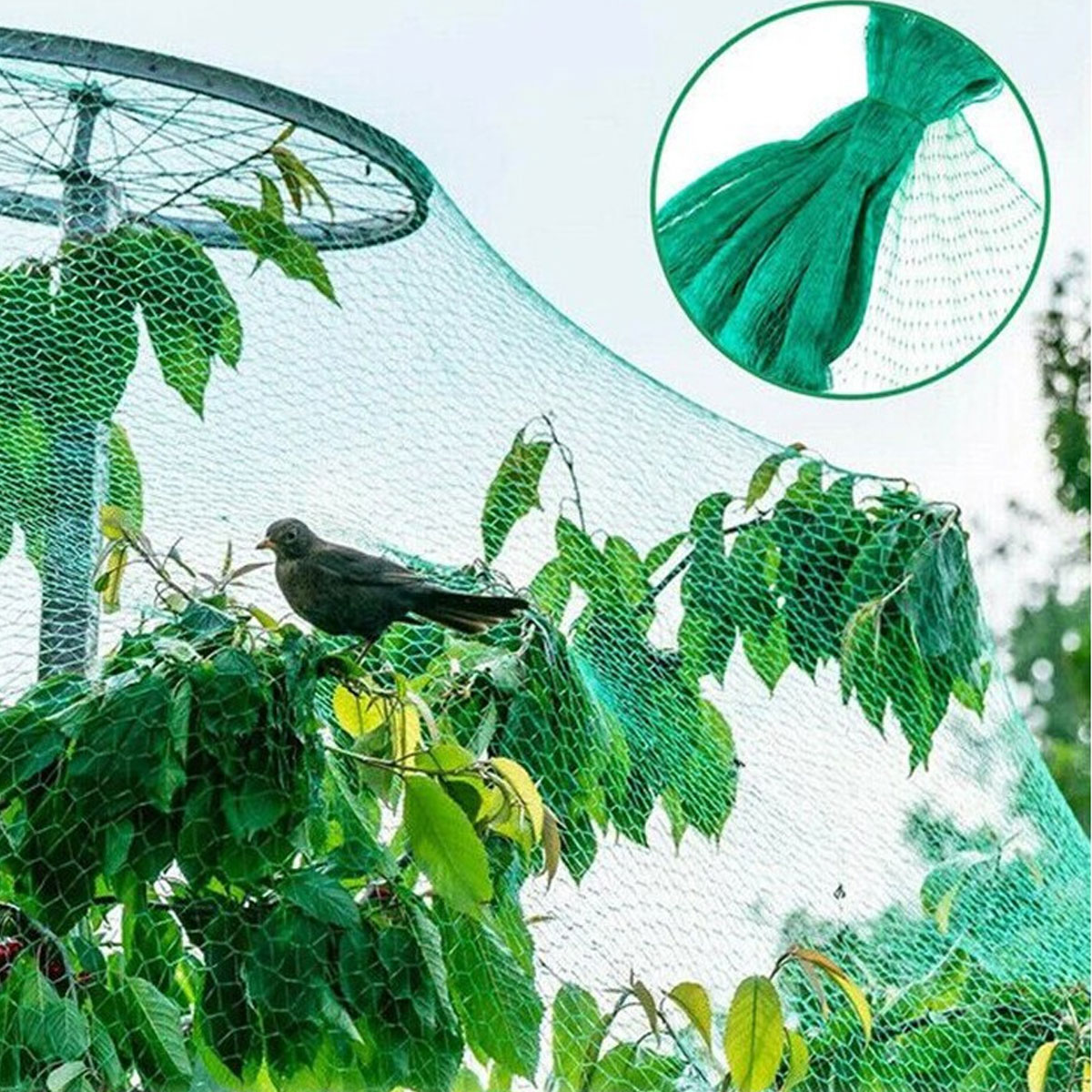 RETE ANTI UCCELLI 4 x 10 ml. - immagine 6