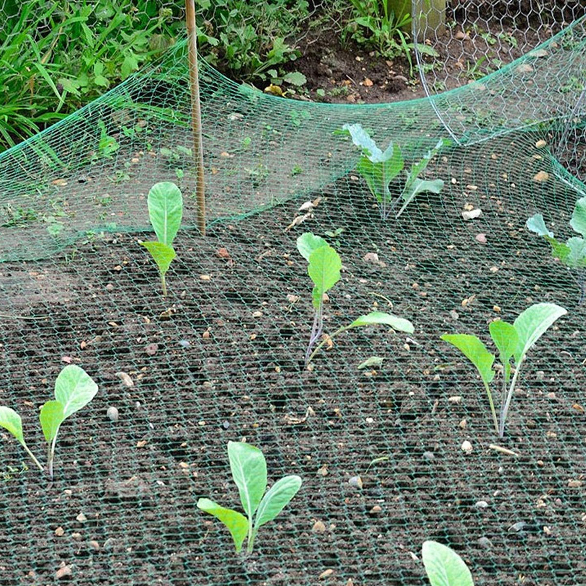 RETE ANTI UCCELLI 4 x 10 ml. - immagine 7