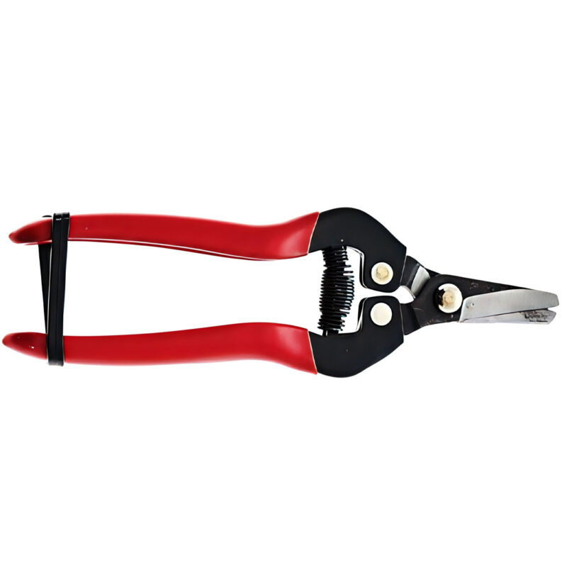 FORBICE AGRUMI PUNTA CORTA CURVA 16 CM BURG