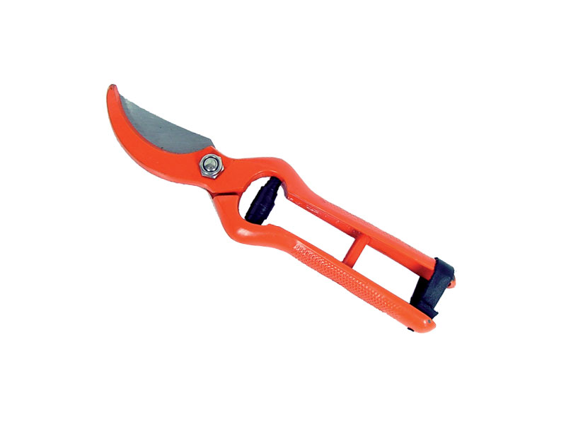 FORBICE VIGNA cm.21  ROSSA