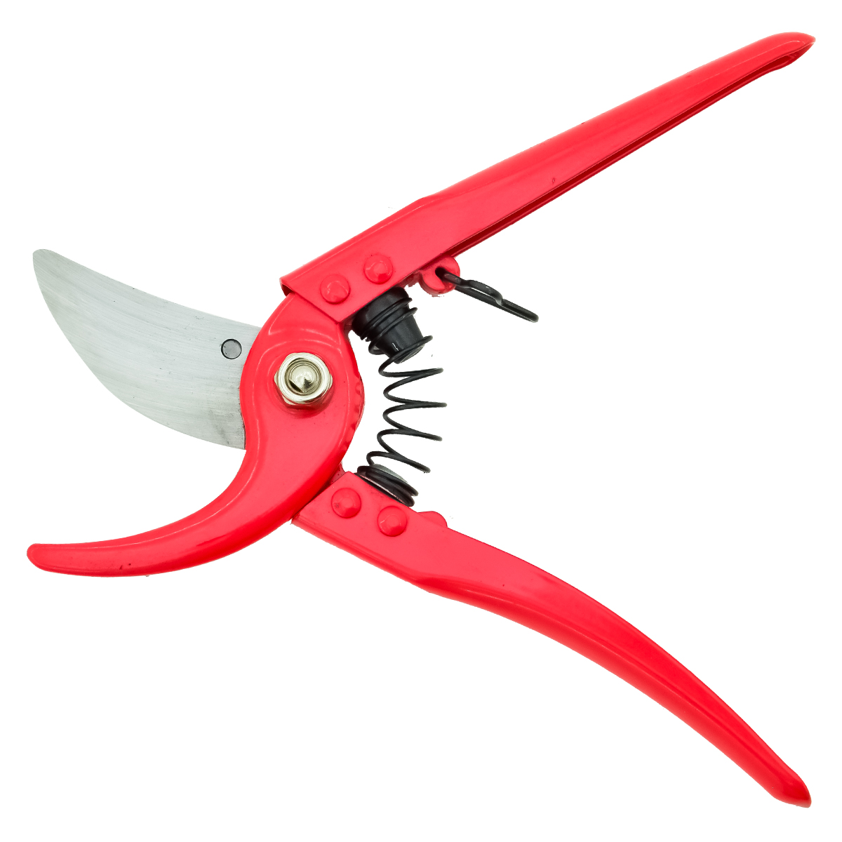 FORBICE DA POTATURA 23 CM A BYPASS BURG - immagine 2