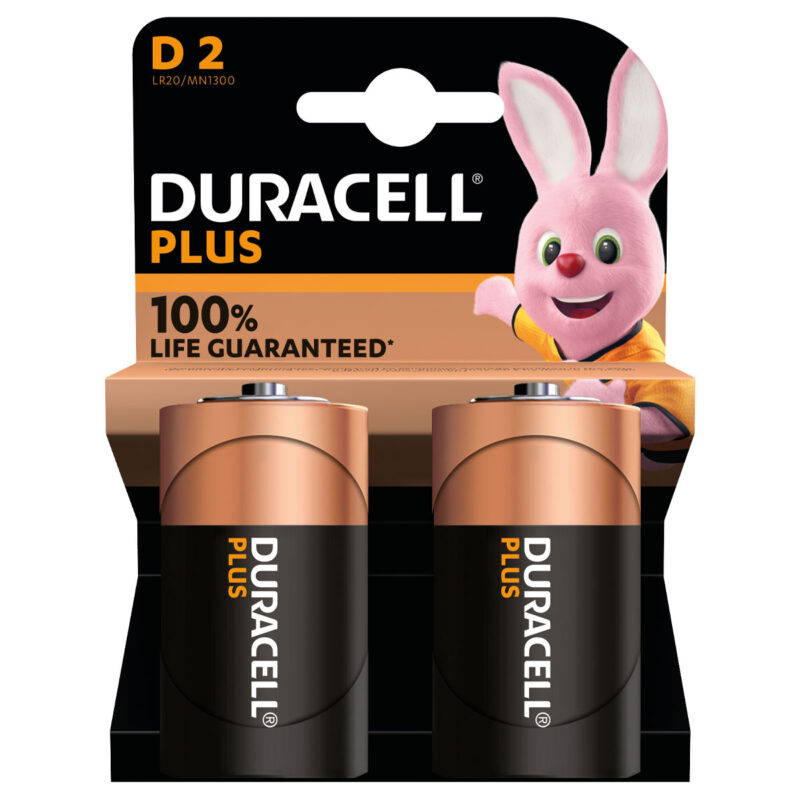 DURACELL PLUS 100 TORCIA D MN1300 - BL 2 PZ